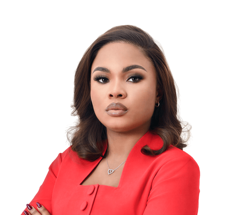 Vice President — Data Governance Technology Lead